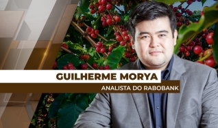 Guilherme Morya - Analista do Rabobank