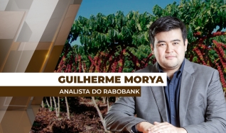Guilherme Morya - Analista do Rabobank