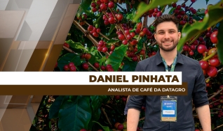 Daniel Pinhata - Analista de Café da Datagro