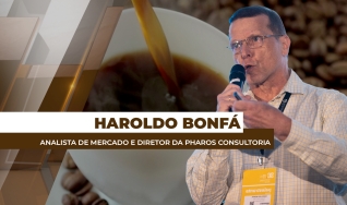 Haroldo Bonfá - Analista de Mercado e Diretor da Pharos Consultoria