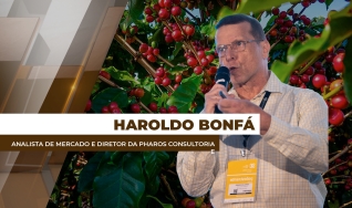 Haroldo Bonfá - Analista de Mercado e Diretor da Pharos Consultoria