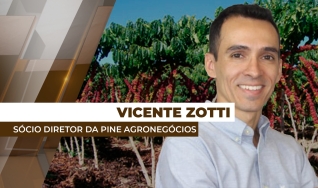 Vicente Zotti - Sócio Diretor da Pine Agronegócios