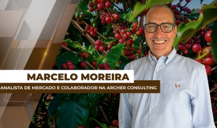 Marcelo Moreira - Analista de Mercado e Colaborador na Archer Consulting