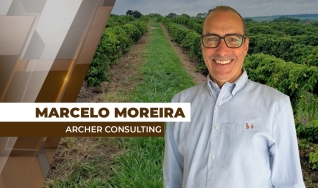 Marcelo Moreira - Analista de Mercado e Colaborador na Archer Consulting