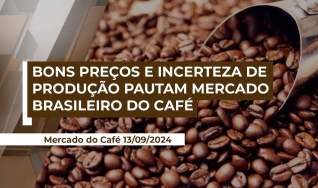 Pavel Cardoso - Presidente da ABIC