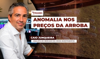 Caio Junqueira - Analista de Mercado da Cross Investimentos