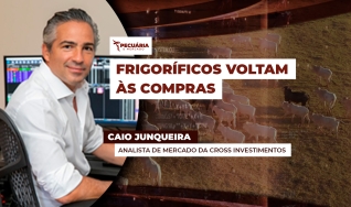 Caio Junqueira - Analista de Mercado da Cross Investimentos