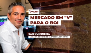 Caio Junqueira - Analista de Mercado da Cross Investimentos