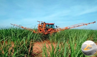 Ricardo Lopes - Diretor Agrícola da Raízen