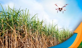 Paulo Gutierrez - Esp. em Desenvolvimento Técnico e Experimentação Agrícola na Tereos