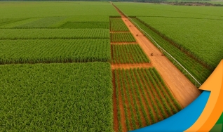 Ricardo Delarco - Eng. Agrônomo e Produtor de Cana da região de Monte Azul Paulista/SP
