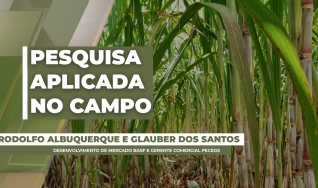 Rodolfo Albuquerque e Glauber dos Santos - Desenvolvimento de Mercado BASF e PECEGE