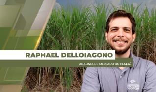 Raphael Delloiagono - Analista de Mercado do Pecegê