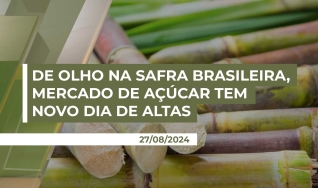 Maurício Muruci - Analista da Safras & Mercado