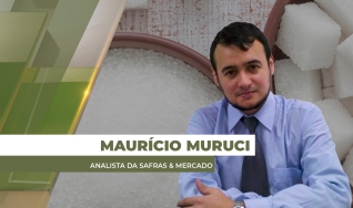 Maurício Muruci - Analista da Safras & Mercado