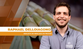 Raphael Delloiagono - Analista de Mercado do Pecegê