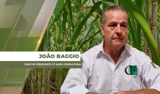 João Baggio - Diretor Presidente  G7 Agro Consultoria