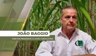 João Baggio - Diretor Presidente  G7 Agro Consultoria