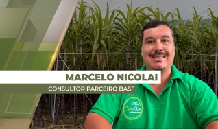 Marcelo Nicolai - Consultor Parceiro BASF