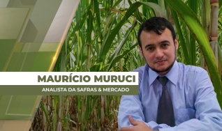 Maurício Muruci - Analista da Safras & Mercado
