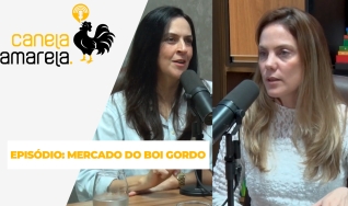 Canela Amarela Podcast - com Sarah Dare