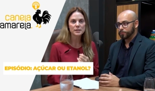 Canela Amarela Podcast - com Sarah Dare