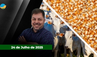 Fechamento de Mercado - Programa Completo