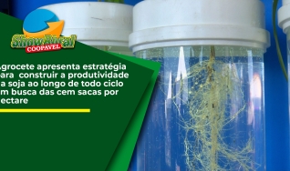 Andrea de Figueiredo Giroldo - diretora de Marketing e Desenvolvimento Técnico da Agrocete