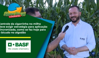 Rafael Marcon - Ger. Sênior Vendas Centro- Sul - Basf