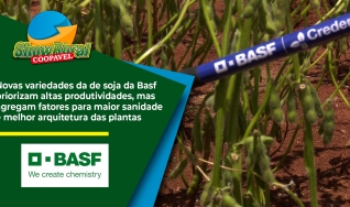 Maurício Rodrigues e Rafael Neubauer - Desenvolvimento de Mercado de sementes- Credenz/Basf e Licenciamento de sementes - SoyTech/Basf