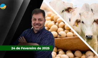 Fechamento de Mercado - Com Aleksander Horta
