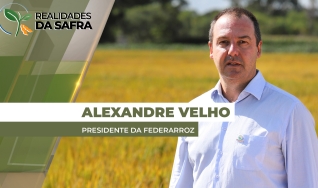 Alexandre Velho - Presidente da Federarroz