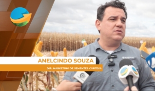 Anelcindo Souza