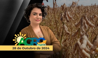 Bom Dia Agronegócio