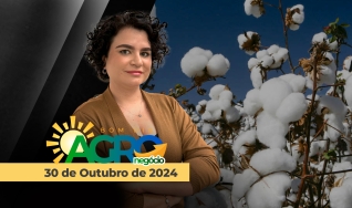 Bom dia Agronegócio