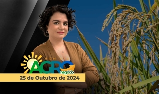 Bom dia Agronegócio