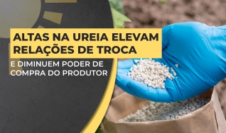 Jeferson Souza - Analista de Fertilizantes da Agrinvest