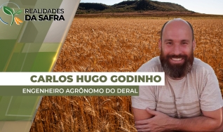 Carlos Hugo Godinho - Engenheiro Agrônomo do Deral