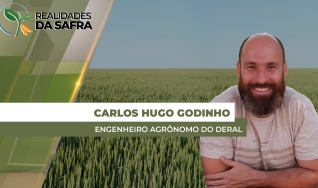 Carlos Hugo Godinho - Engenheiro Agrônomo do Deral