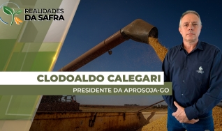 Clodoaldo Calegari - Presidente da Aprosoja-GO
