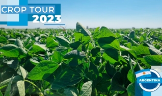 Emerson Pscheidt - Produtor rural em Rio Negrinho-SC, Paulo Veiga - Consultor técnico Big Safra,  Charles Anderson Wolmann - Eng agrônomo