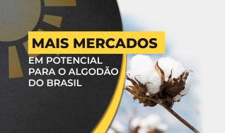 Pery Passotti Pedro