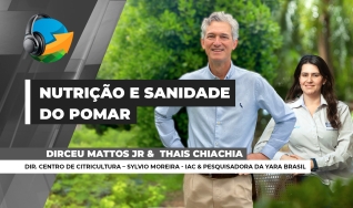 Podcast do NA - com Aleksander Horta