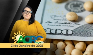 Bom Dia Agro - Com Carla Mendes