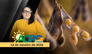 Bom Dia Agro - Com Carla Mendes