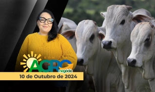 Bom Dia Agro