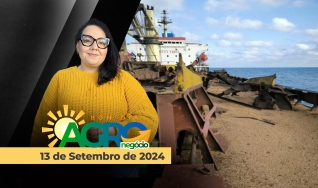 Bom Dia Agro