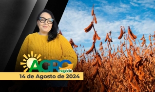 Bom Dia Agro