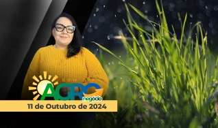Bom Dia Agro