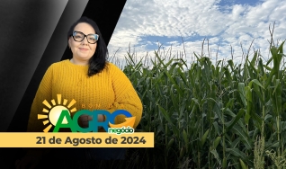 Bom Dia Agro